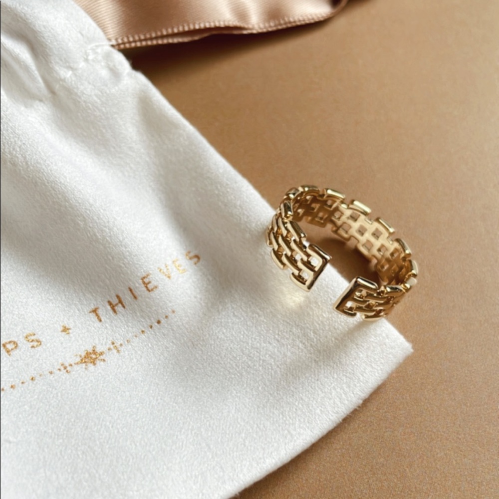 Le Chain Ring - image 7